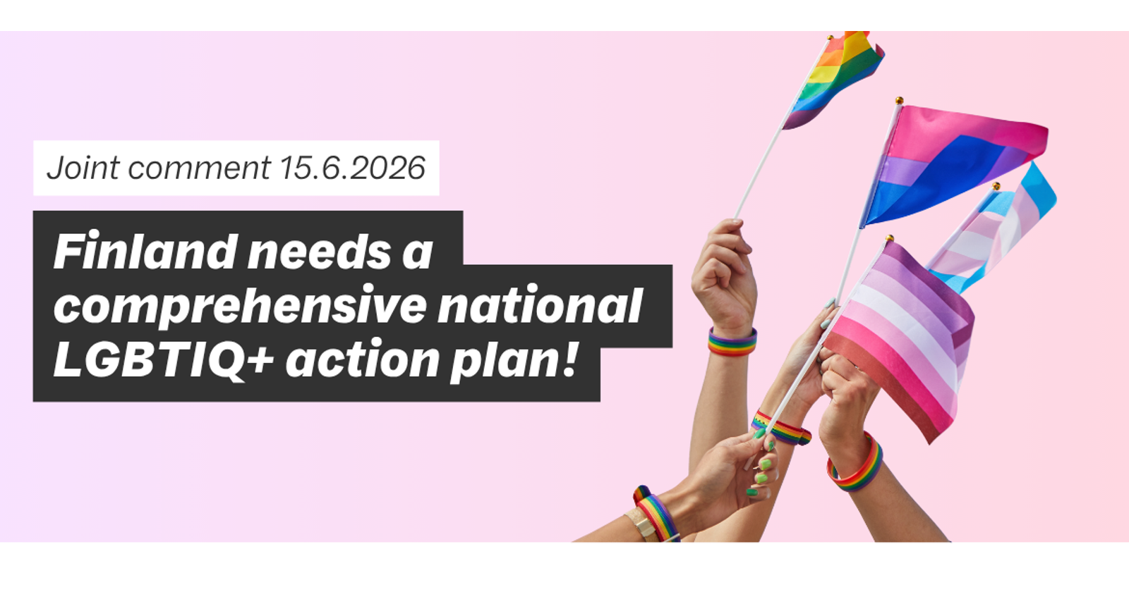 Photograph of hands waving different Pride flags with text: Joint comment 15.6.2026: Finlands needs a comprehensive national LGBTIQ+ action plan!