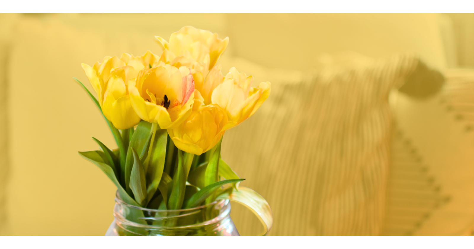 Photograph of yellow tulips in a glass vase. The photo has been cut out from its background, which has been turned a seethrough yellow.