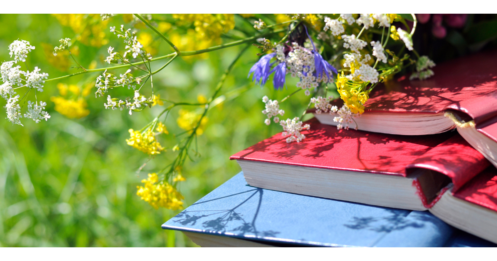 Valokuva kirjapinosta aurinkoisella nurmikolla, päällä luonnonkukkia.
