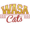 Wasa Catsien logo
